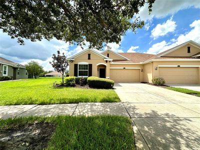 4247 ANGELICA LOOP