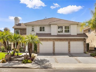 22241 Birchleaf