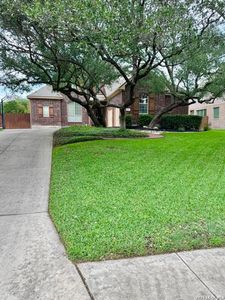 12823 Terrace Hollow