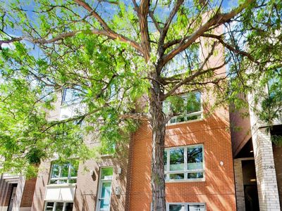 2736 N Ashland Ave #2S