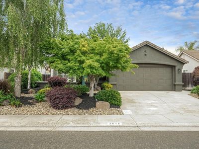 2615 Magnolia Ct