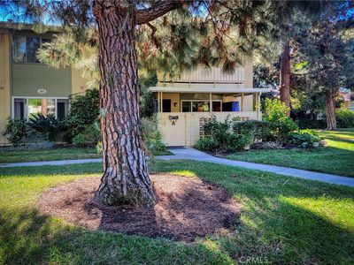 185 Avenida Majorca UNIT A