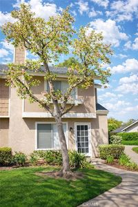 12 Hollowglen