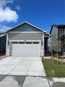 7732 Clear Amber Pl