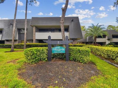 36750 Us Highway 19 N #3116