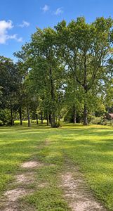 Property at 25710 Wildflower Dr, Magnolia, TX