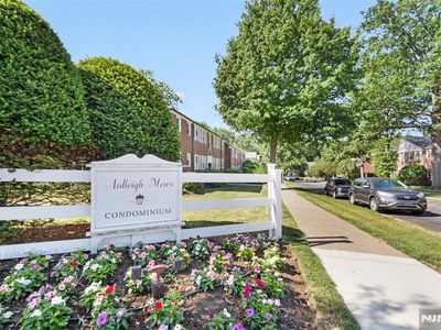 349 Bloomfield Ave #33
