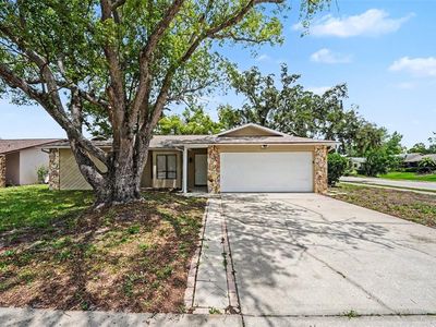 11424 Scallop Dr