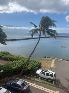 20 Hauoli St APT 312