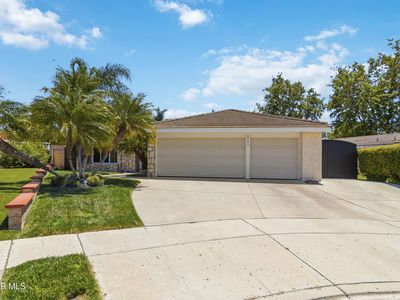 2624 Sasha Ct