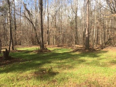 Property at 0 Other, Camden, AL