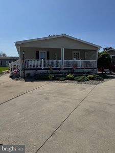50 Juniper St