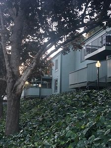 5290 San Pablo Dam Rd