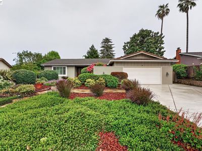 9 Del Oro Ct