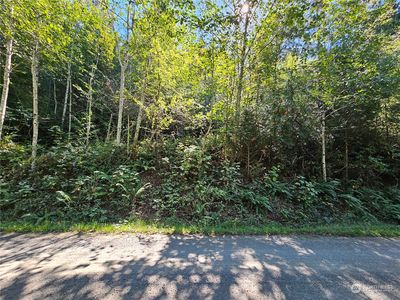 Property at 0 NSN Sunrise Road, Brinnon, WA