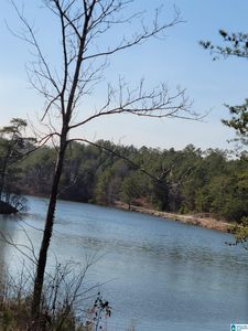 1250 County Road 915 #14-A