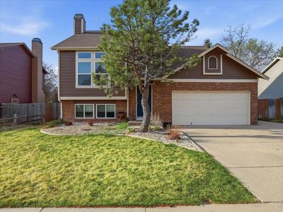 1013 Kremmling Ln