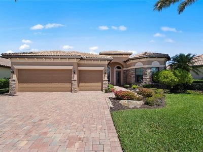 13500 Brown Bear RUN