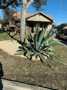 326 Mae Dr