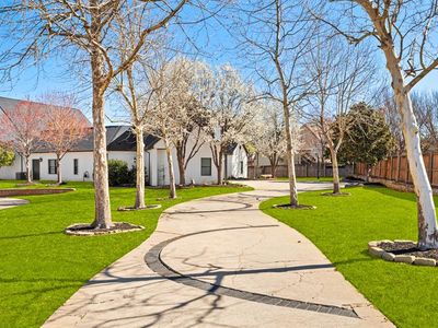 16808 Conifer Ln