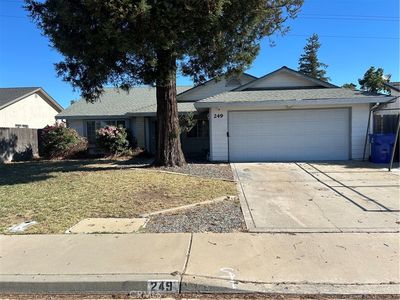 249 Live Oak Dr