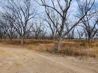 Property at 330 Stockley Rd, Quemado, TX