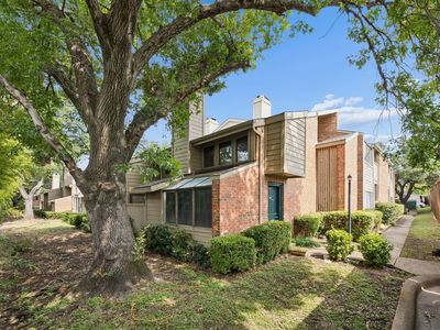 9254 Forest Ln APT 313