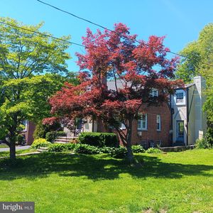 20 Davis Ave
