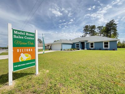 Millhouse B Plan, Marion Oaks