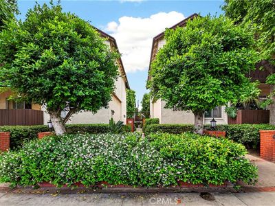 15020 Victory Blvd Unit 104