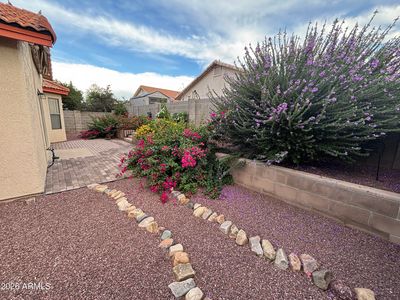 4420 CALLE Vista