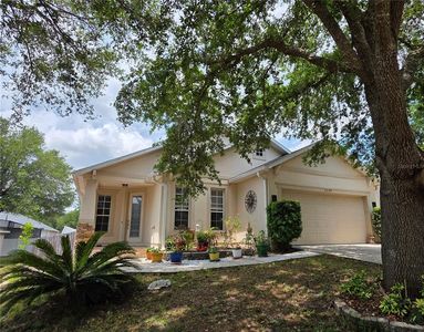 Property at 25147 Ironwedge Dr, Mount Plymouth, FL