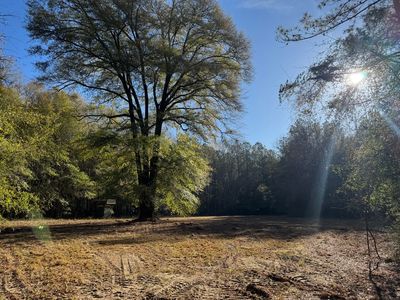 Property at (Undisclosed Address), Seale, AL