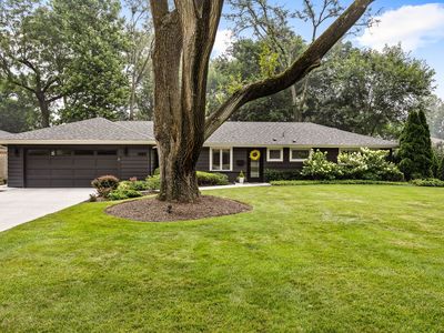 1909 Martingale Rd