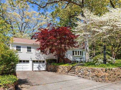 44 Windemere Rd