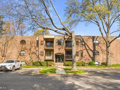 11 Silverwood Cir APT 1