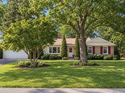 421 Morgan Dr