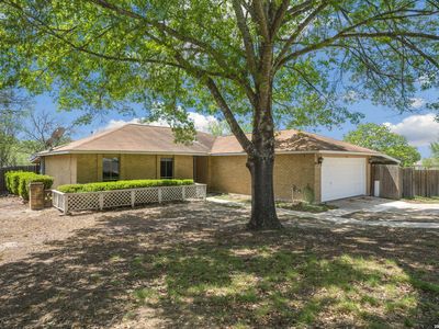 5017 Cherry Tree