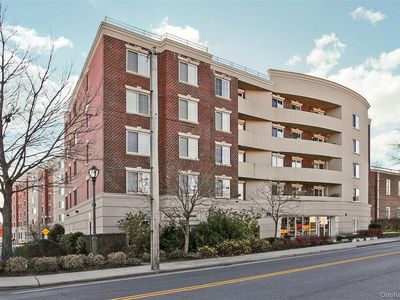 242 Maple Avenue #207