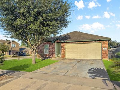 6614 Pine Tree Gln