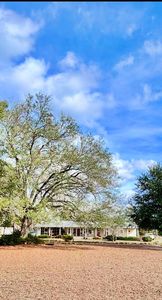 Property at 449 County Road 112, Columbia, AL