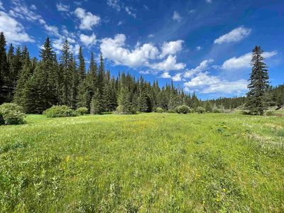 Property at 22864 S Rochford Rd, Hill City, SD