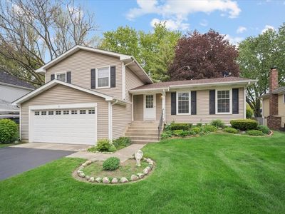 51 Chelsea Ln
