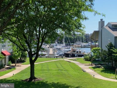 7036 Harbour Village Ct APT 101