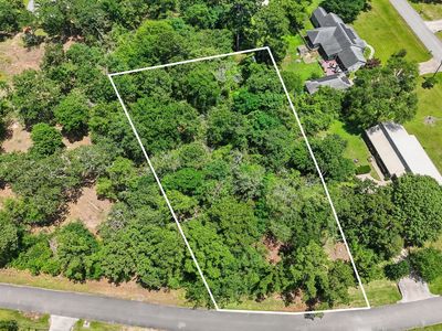 31906 Pine Xing