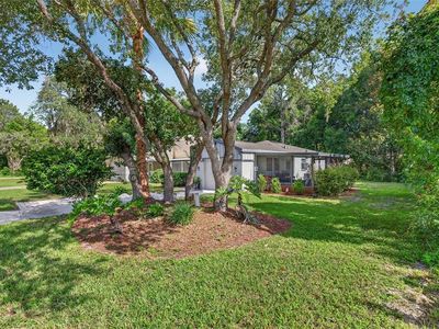 12 CHINABERRY CIRCLE