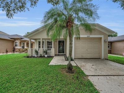 Property at 5229 MANGO FRUIT STREET, Seffner, FL