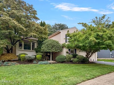 17 Feathertree Court