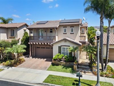 41 Carpenteria