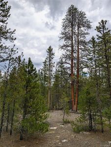 Property at 437 Juniper Drive, Twin Lakes, CO